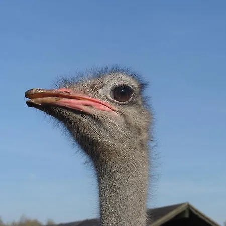 Çiftlik konaklama Ania I Filip