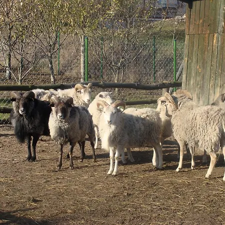 Ania I Filip בית חווה Izabelin (Kramsk)