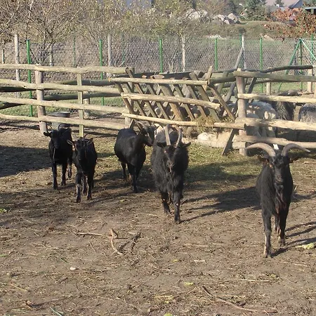 Gospodarstwo Agroturystyczne Ania I Filip Izabelin (Kramsk)