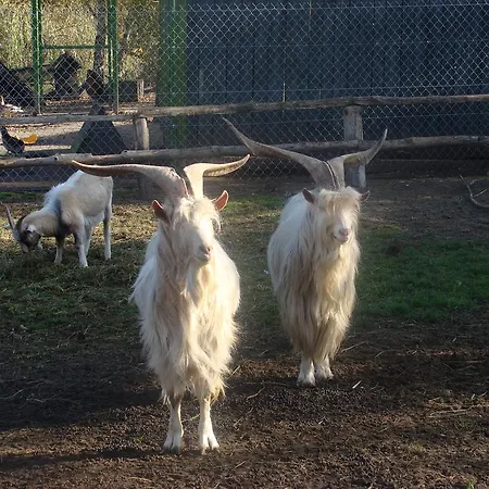 Çiftlik konaklama Ania I Filip *