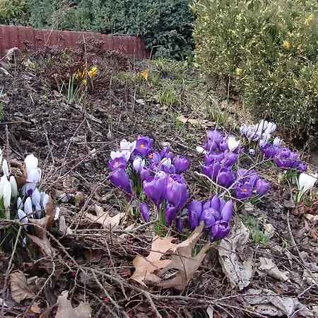 Ania I Filip Çiftlik konaklama