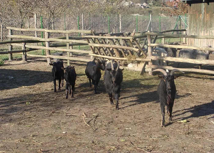 Gospodarstwo Agroturystyczne Ania I Filip Izabelin (Kramsk)