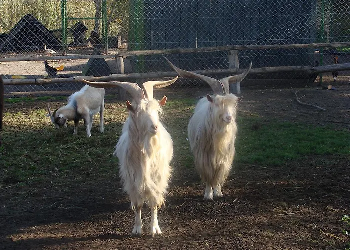 Séjour à la ferme Ania I Filip *