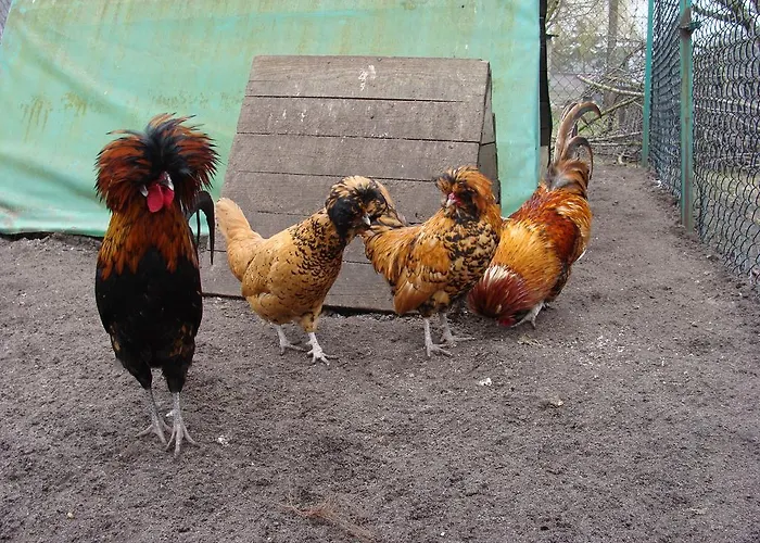 Séjour à la ferme Ania I Filip