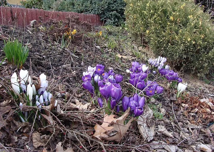 Gospodarstwo Agroturystyczne Ania I Filip Farm stay